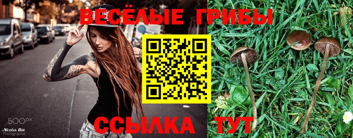 Галлюциногенные грибы мицелий Отрадный