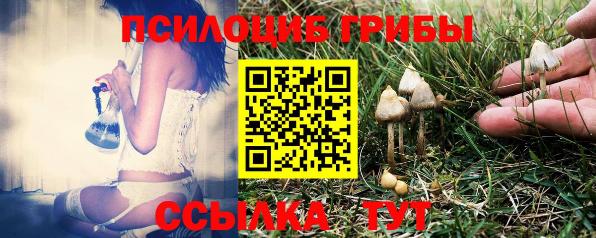 Отрадный  Галлюциногенные грибы GOLDEN TEACHER  Галлюциногенные грибы MAGIC MUSHROOMS  Вход с VPN 
